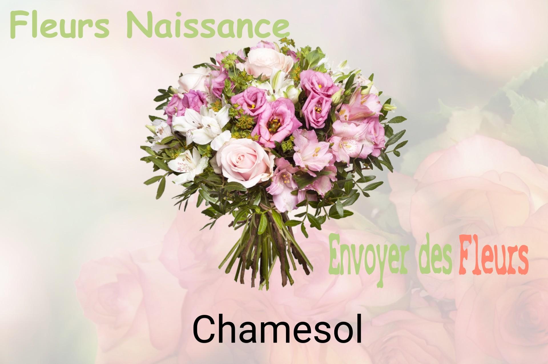 Bouquet de fleurs de naissance livré à Chamesol