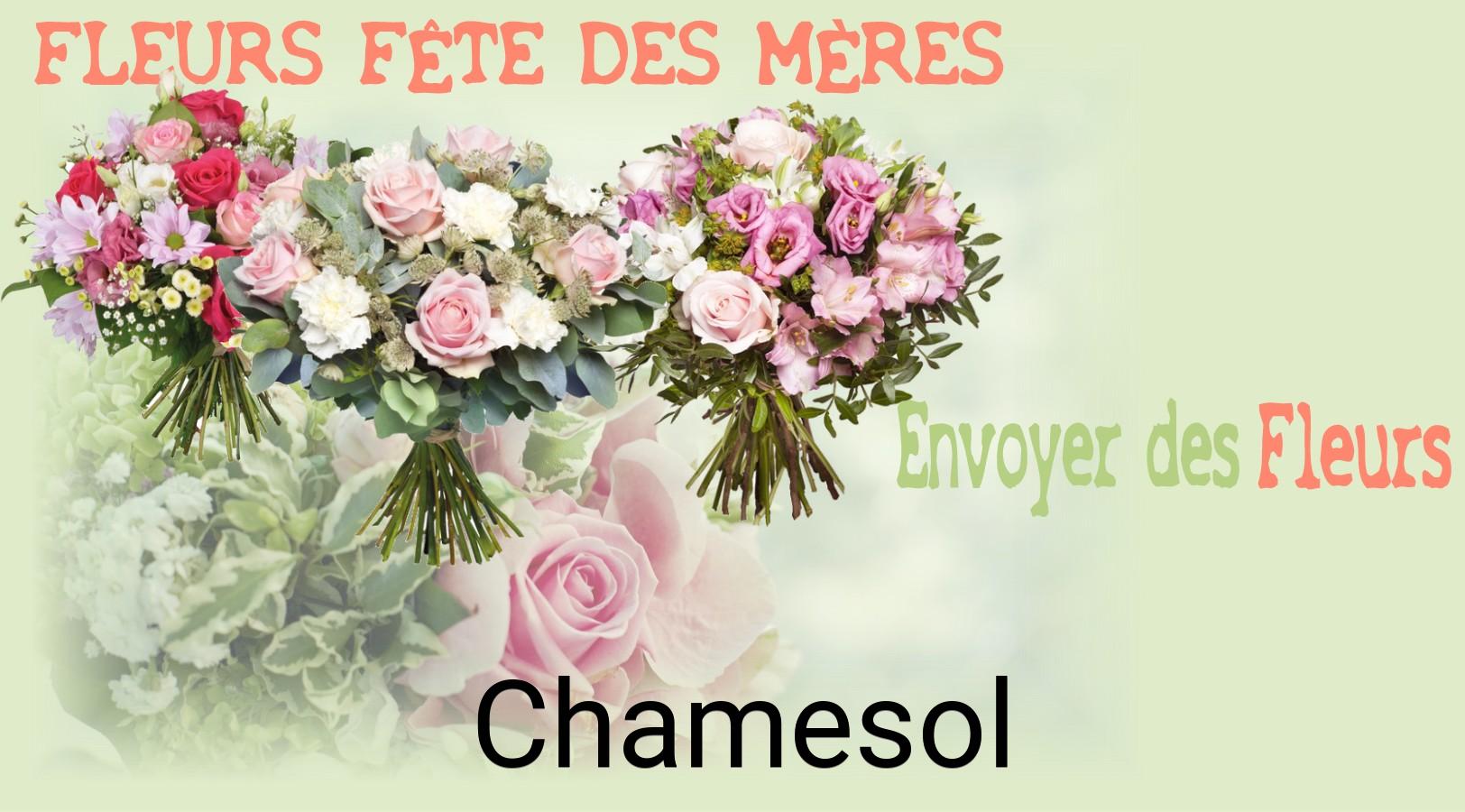 Bouquet de Fête des Mères livré à Chamesol